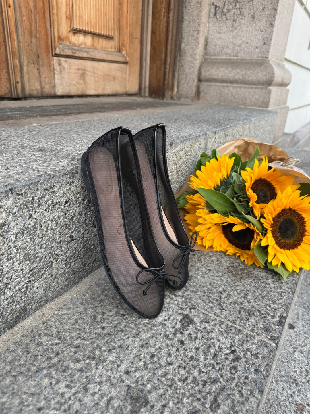 Vega Mesh Ballerina – Black